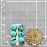 Small Mixed Freeform Kingman Turquoise, Set of 6 Dimensions