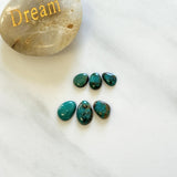 Small Sea Green Mixed Fox Turquoise, Set of 6 Background