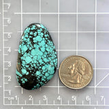 Large Sky Blue Freeform Yungai Turquoise Dimensions