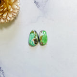 Medium Sea Green Freeform Carico Lake Turquoise, Set of 2 Background
