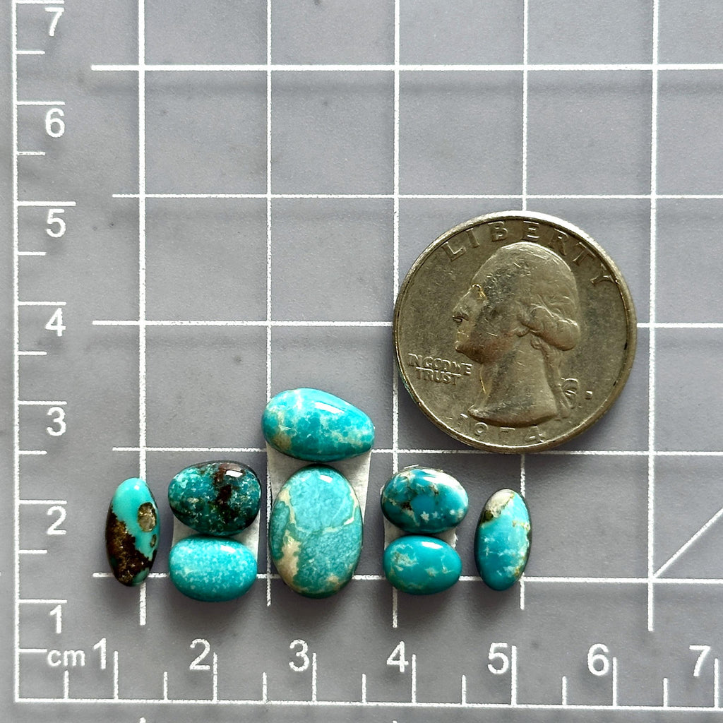 Small Sky Blue Mixed Fox Turquoise, Set of 8 - Turquoise Moose