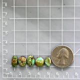 Small Lime Green Oval Royston Turquoise, Set of 5 Dimensions