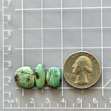 Medium Lime Green Mixed Kingman Turquoise, Set of 3 Dimensions