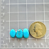 Small Sky Blue Freeform Sleeping Beauty Turquoise, Set of 3 Dimensions