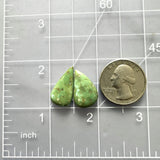 Medium Lime Green Teardrop Crescent Lake Variscite, Set of 2 Dimensions