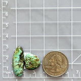 Medium Sea Green Mixed Bamboo Mountain Turquoise, Set of 2 Dimensions