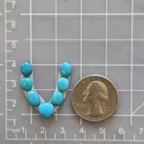 Small Sky Blue Freeform Sleeping Beauty Turquoise, Set of 7 Dimensions