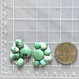 Small Faint Green Mixed Broken Arrow Variscite, Set of 12 Dimensions