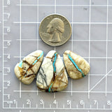 Large Sky Blue Teardrop Royston Turquoise, Set of 3 Dimensions