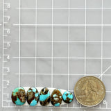 Small Sky Blue Mixed Blue Moon Turquoise, Set of 5 Dimensions