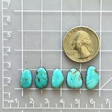 Small Sky Blue Freeform Number 8 Turquoise, Set of 5 Dimensions