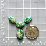 Small Deep Green Oval Fox Turquoise, Set of 4 Dimensions