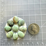 Small Mint Green Mixed Crescent Lake Variscite, Set of 9 Dimensions