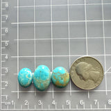 Small Sky Blue Freeform Royston Turquoise, Set of 3 Dimensions