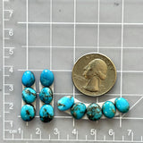 Small Sky Blue Mixed Paiute Turquoise, Set of 11 Dimensions