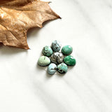Small Mixed Mixed Mixed Turquoise, Set of 8 Background
