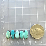 Small Sky Blue Freeform Carico Lake Turquoise, Set of 5 Dimensions