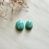 Small Sky Blue Round Fox Turquoise, Set of 2 Background