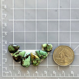 Medium Sea Green Teardrop Treasure Mountain Turquoise, Set of 6 Dimensions