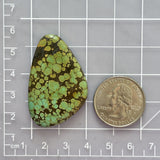 Large Sea Green Freeform Bamboo Mountain Turquoise Dimensions