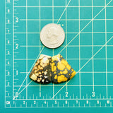 Large Royal Orange Petal Giraffe Turquoise, Set of 2 Dimensions