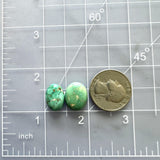 Small Deep Green Freeform Crescent Lake Variscite, Set of 2 Dimensions