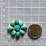 Small Sky Blue Mixed Tyrone Turquoise, Set of 9 Dimensions