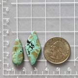 Large Faint Green Mixed Giraffe Turquoise, Set of 2 Dimensions
