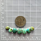 Small Mixed Freeform Tyrone Turquoise, Set of 7 Dimensions