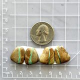 Small Mint Green Freeform Royston Turquoise, Set of 4 Dimensions