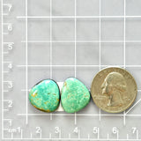 Medium Mint Green Freeform Tyrone Turquoise, Set of 2 Dimensions