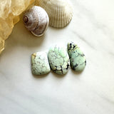 Medium Faint Green Mixed Crescent Lake Variscite, Set of 3 Background