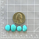 Small Sky Blue Mixed Kingman Turquoise, Set of 4 Dimensions
