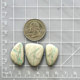 Large Faint Green Freeform Royston Turquoise, Set of 3 Dimensions