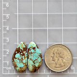Large Sky Blue Freeform Number 8 Turquoise, Set of 2 Dimensions