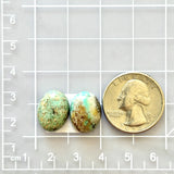 Medium Faint Green Oval Broken Arrow Variscite, Set of 2 Dimensions