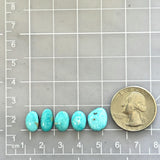 Small Sky Blue Freeform Kingman Turquoise, Set of 5 Dimensions