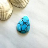Large Sky Blue Teardrop Prince Egyptian Turquoise Background