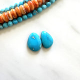 Small Sky Blue Mixed Sleeping Beauty Turquoise, Set of 2 Background