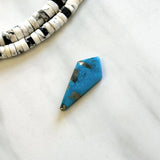 Large Ocean Blue Shield Ithaca Peak Turquoise Background