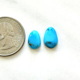 Small Sky Blue Mixed Sleeping Beauty Turquoise, Set of 2 Dimensions