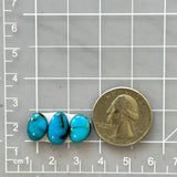 Small Sky Blue Freeform Paiute Turquoise, Set of 3 Dimensions