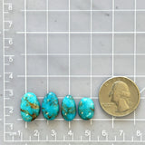 Small Sky Blue Mixed New Lander Variscite, Set of 4 Dimensions