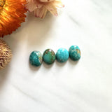 Small Mixed Freeform Fox Turquoise, Set of 4 Background