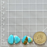 Small Ocean Blue Freeform Royston Turquoise, Set of 4 Dimensions