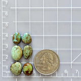 Small Sea Green Freeform Carico Lake Turquoise, Set of 6 Dimensions