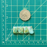 Small Sea Green Mixed Crescent Lake Variscite, Set of 4 Dimensions