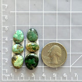 Small Mixed Mixed Broken Arrow Variscite, Set of 6 Dimensions