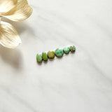 Small Lime Green Freeform Sonoran Gold Turquoise, Set of 6 Background