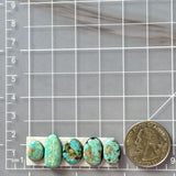 Small Sky Blue Freeform Number 8 Turquoise, Set of 5 Dimensions